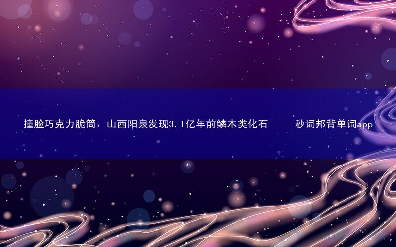 撞脸巧克力脆筒,山西阳泉发现3.1亿年前鳞木类化石 ——秒词邦背单词app