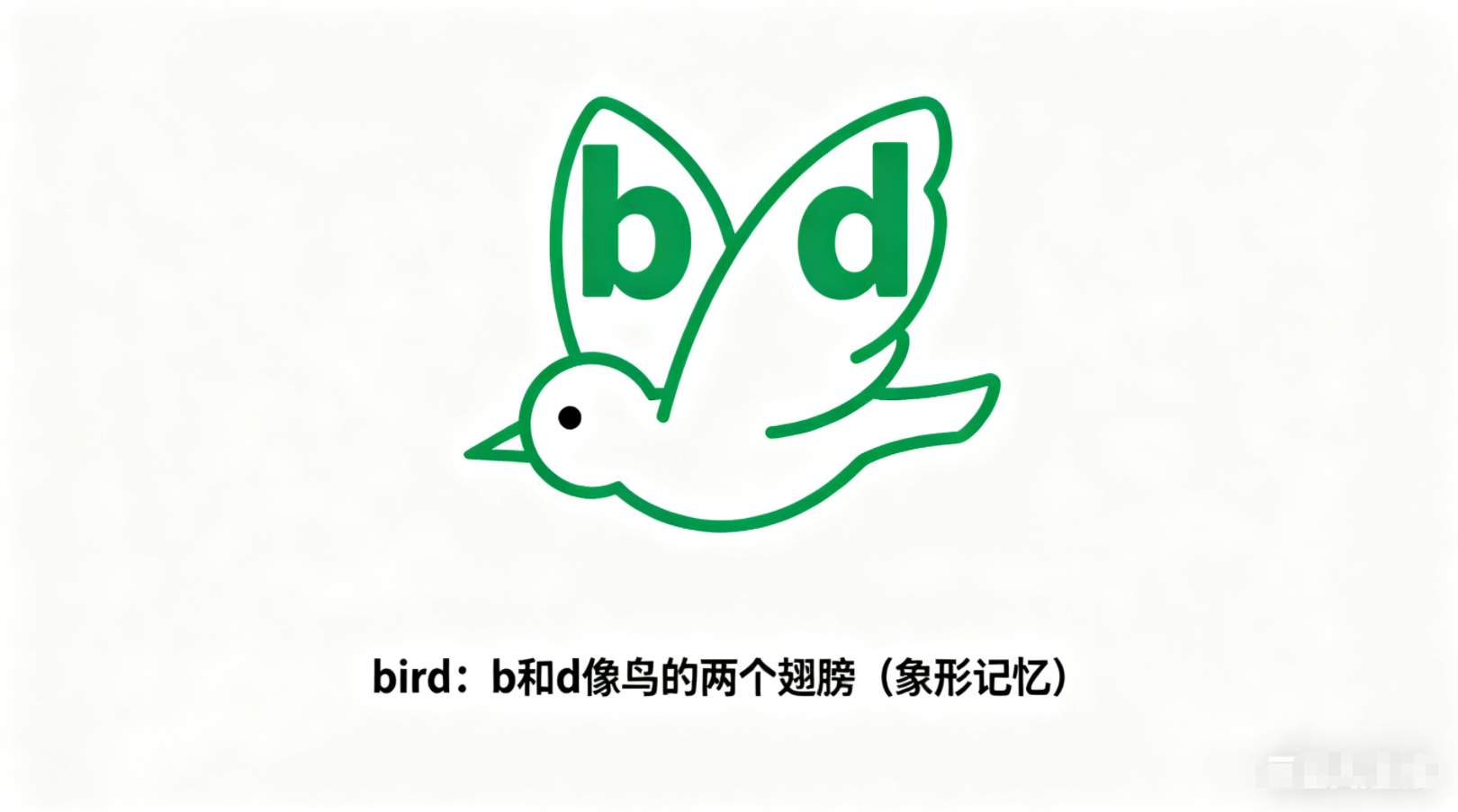 这个女主有点酷电视剧