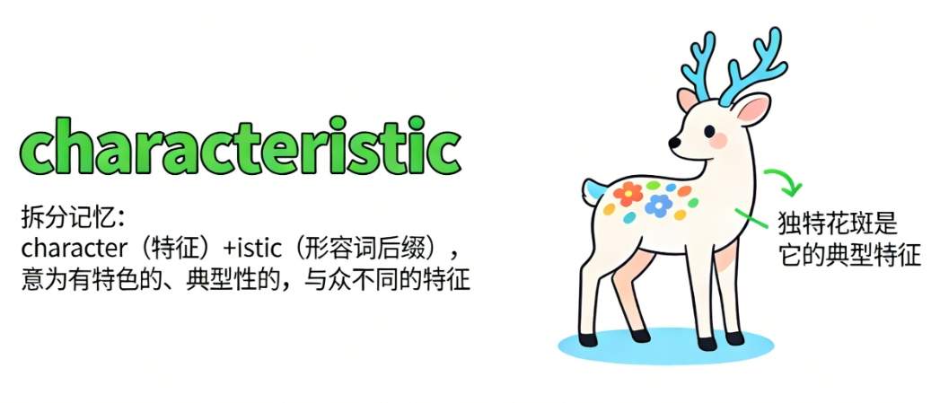 characteristic是什么意思|characteristic的用法|characteristic的单词速记 ...